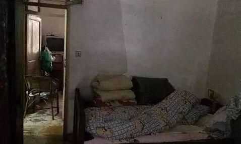 老鼠會(huì)死在下水道嗎