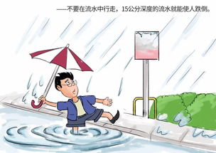 中班防汛安全知識
