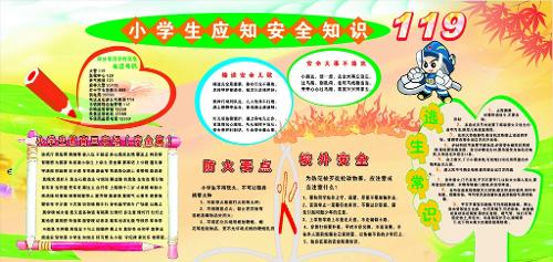 小學(xué)生安全知識感悟600