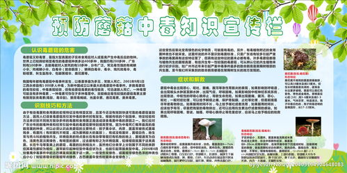 校園防中毒安全知識