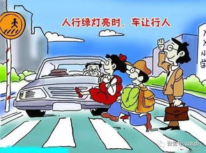 秋天駕車(chē)交通安全知識