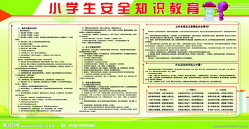 小學(xué)生安全知識小組計劃書(shū)