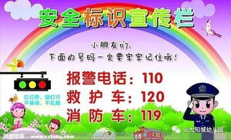 幼兒戶(hù)外活動(dòng)安全知識