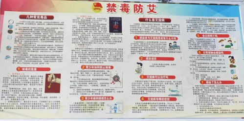 安全法制知識進(jìn)校園活動(dòng)總結