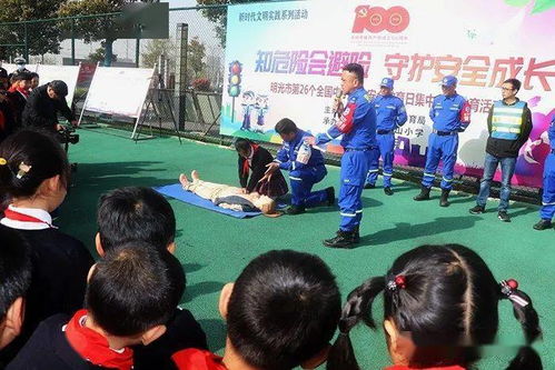 交通安全知識避免發(fā)生意外事故