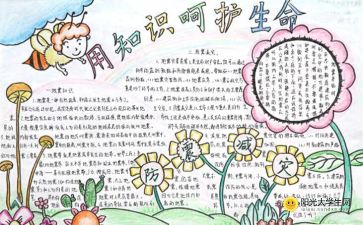 普及安全知識保護生命安全手抄報