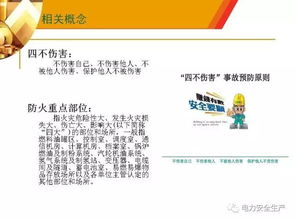 輸煤安全知識培訓