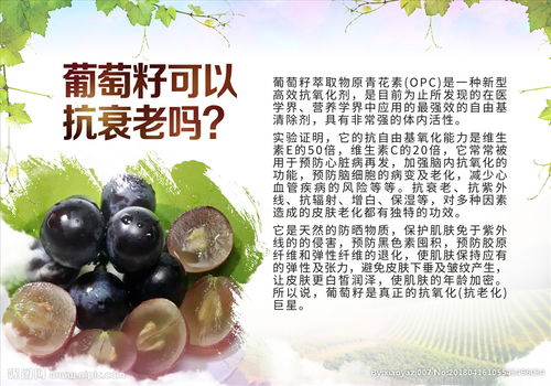 安全知識(shí)為主題的宣傳小畫(huà)報(bào)