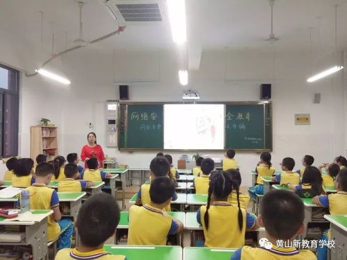 小學(xué)網(wǎng)絡(luò )安全知識主題班會(huì )教案