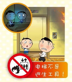 入學(xué)安全知識要點(diǎn)