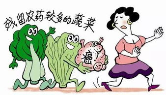 學(xué)生防食物中毒安全知識