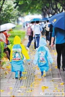 小學(xué)雨天交通安全知識