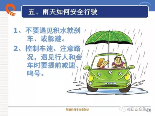 人員車(chē)輛安全知識