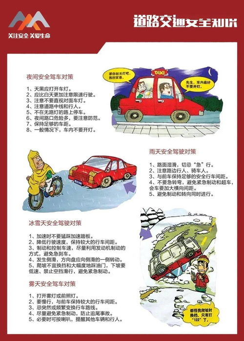 交通道路安全防護知識