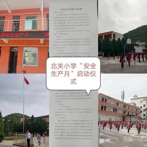 小學(xué)國旗下安全知識講座稿