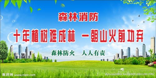 小學(xué)生森林安全知識標語(yǔ)