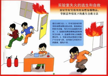 消防安全知識測試小結