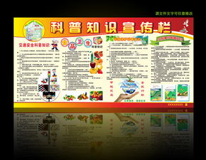 交通安全科普宣傳知識