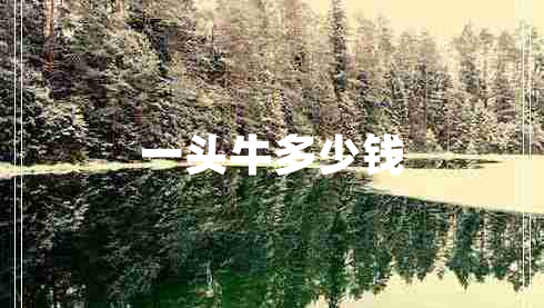 一頭牛多少錢(qián)