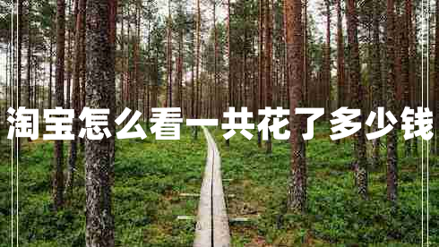 淘寶怎么看一共花了多少錢(qián)