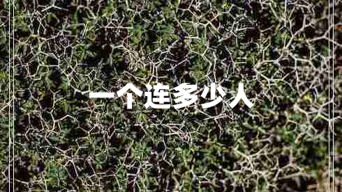 一個(gè)連多少人
