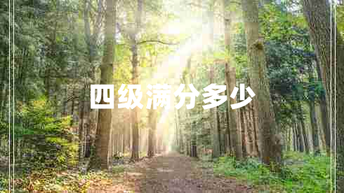 四級滿(mǎn)分多少