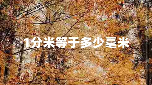 1分米等于多少毫米