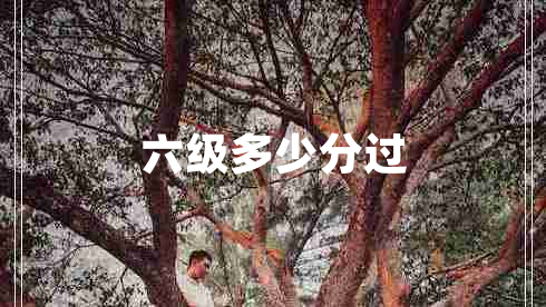 六級多少分過(guò)