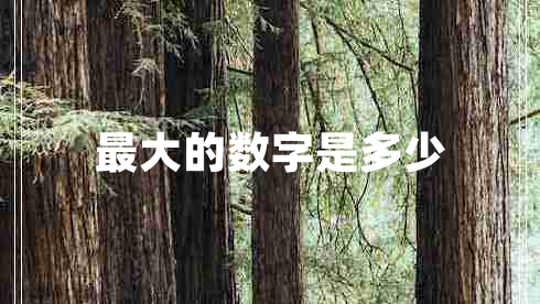 最大的數字是多少