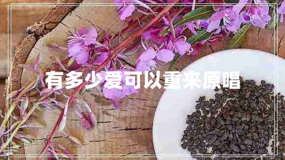 有多少愛(ài)可以重來(lái)原唱