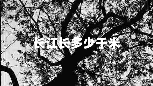 長(cháng)江長(cháng)多少千米