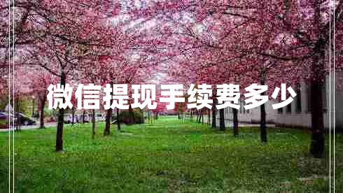 微信提現手續費多少