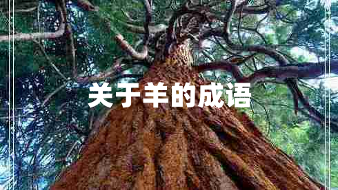 關(guān)于羊的成語(yǔ)