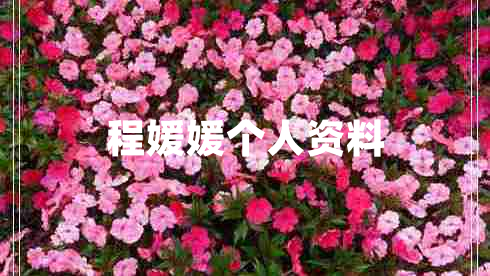 程媛媛個(gè)人資料