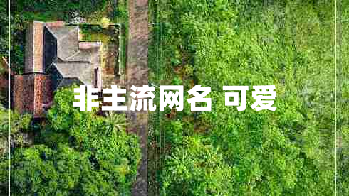 非主流網(wǎng)名 可愛(ài)