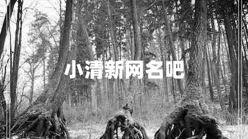 小清新網(wǎng)名吧