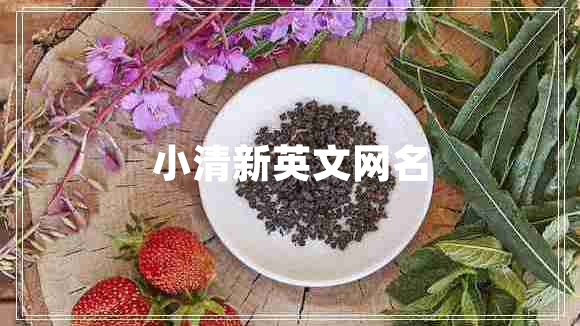 小清新英文網(wǎng)名