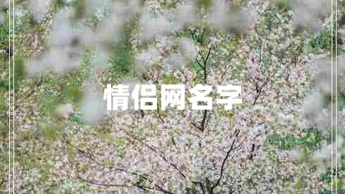 情侶網(wǎng)名字