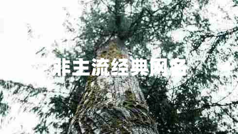 非主流經(jīng)典網(wǎng)名