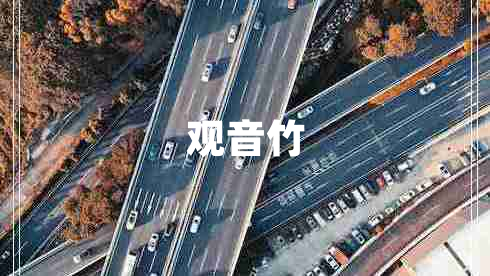 觀(guān)音竹