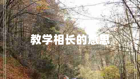 教學(xué)相長(cháng)的意思
