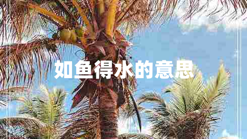 如魚(yú)得水的意思