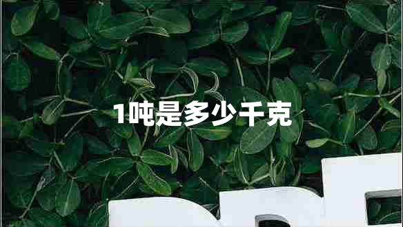 1噸是多少千克