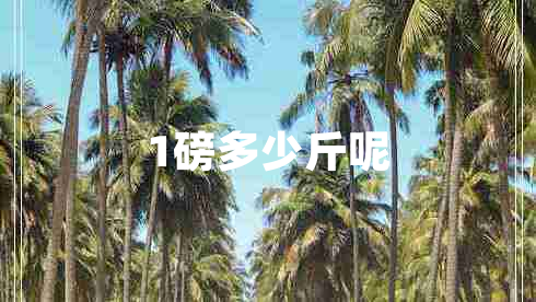 1磅多少斤呢