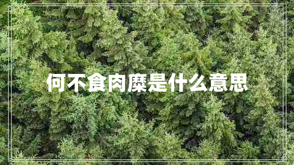 何不食肉糜是什么意思
