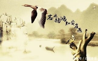 折枝為志典故