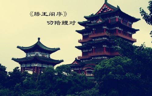 典故叨陪鯉對