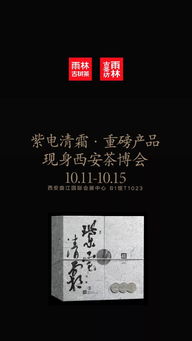 紫電青霜王將軍之武庫典故,王將軍之武庫典故,王將軍之武庫典故用意