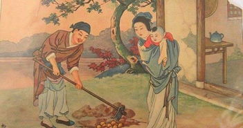 信與辰的典故