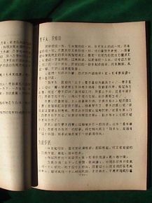 典故名詞